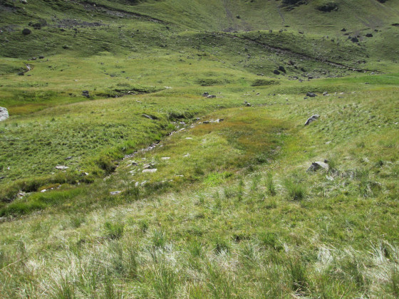 Petite tourbière Petite tourbière