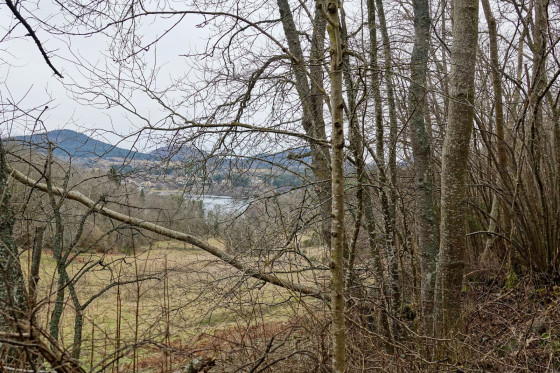 Petite vue...