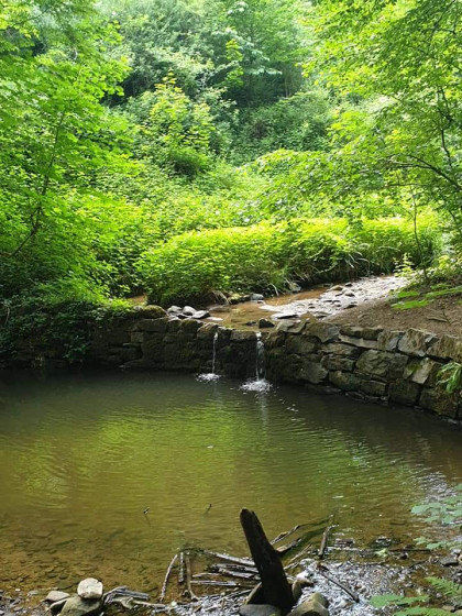Petites cascades