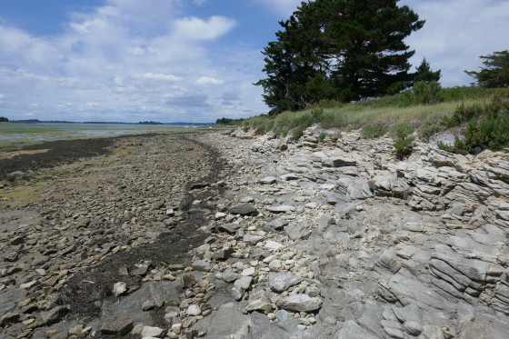 Côte rocheuse