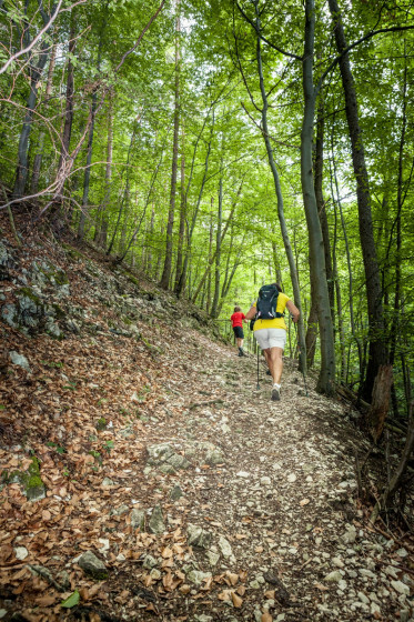 Sentier en montée