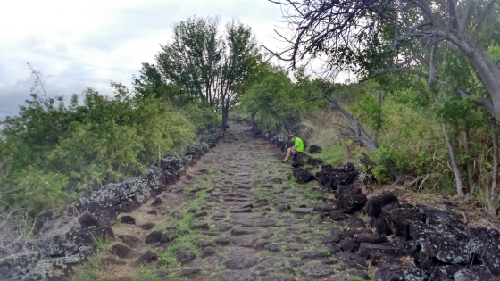 Chemin pavé