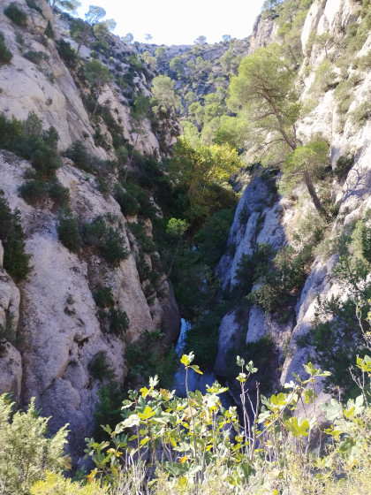 photo au point 2