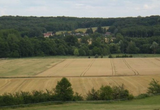 Photo de plaine