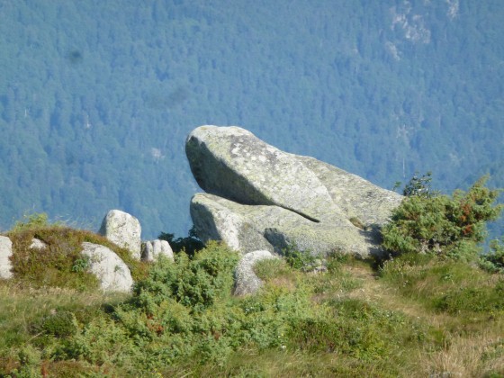 Photo3