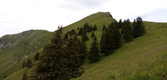 Pic de Borée