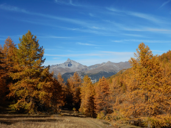 Pic de Rochebrune