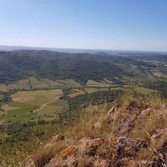 Pic de Vissous Cabri&egrave;res