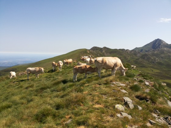 Pic du Mont (2009m)