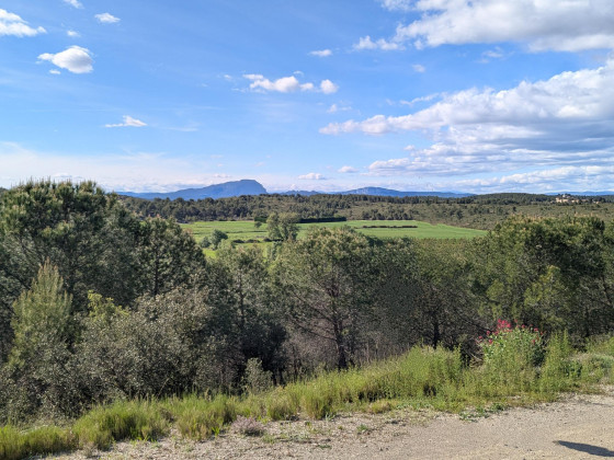 Pic Saint Loup