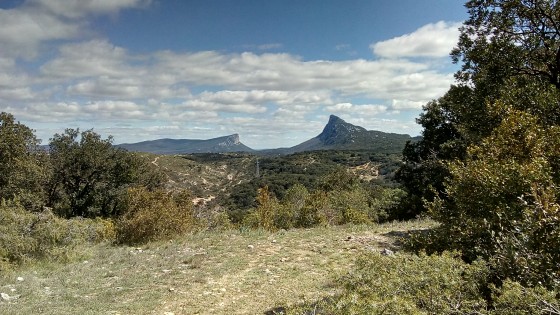 Pic St Loup et Hortus