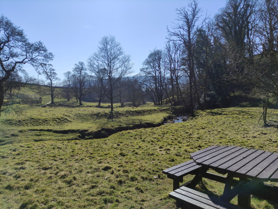 Table de pique-nique