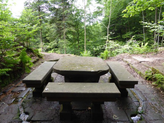 picnic?