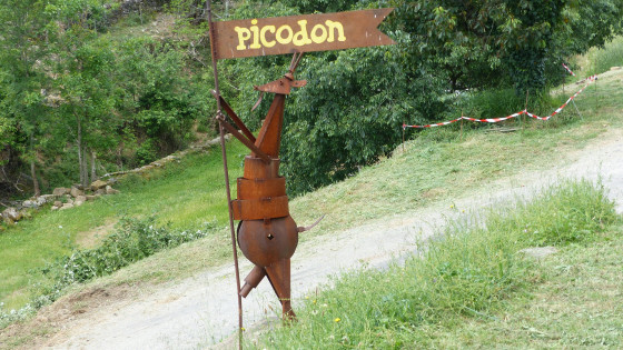 Picodons