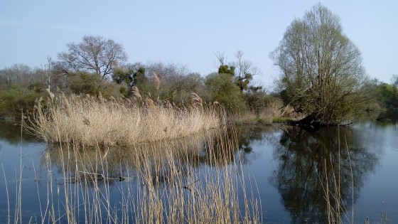 Pièce d\'eau