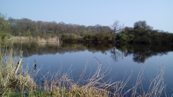 Pièce d\'eau