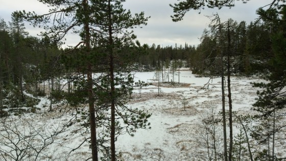 Pieni Karhunkierros