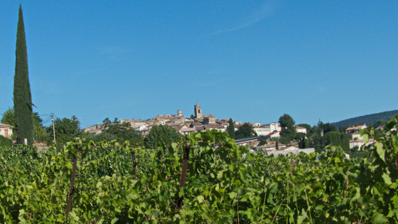 Pierrevert vu du vignoble