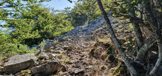 Pierrier dans le sentier de montée