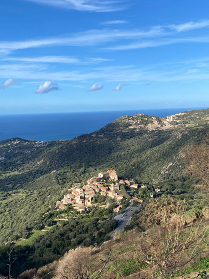 Pigna
