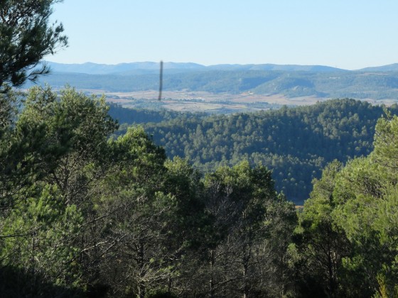 Pin&egrave;de
