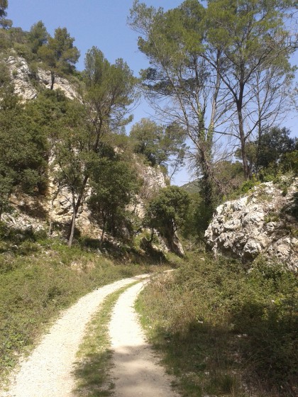 Piste à la descente