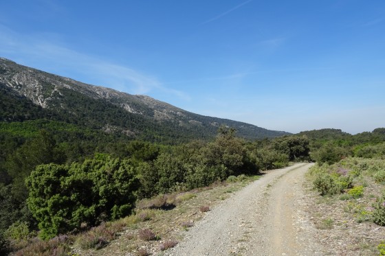 Piste au Nord de la Sainte-Victoire
