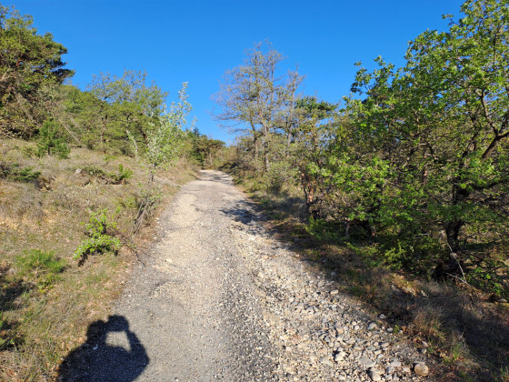 Piste carrossable