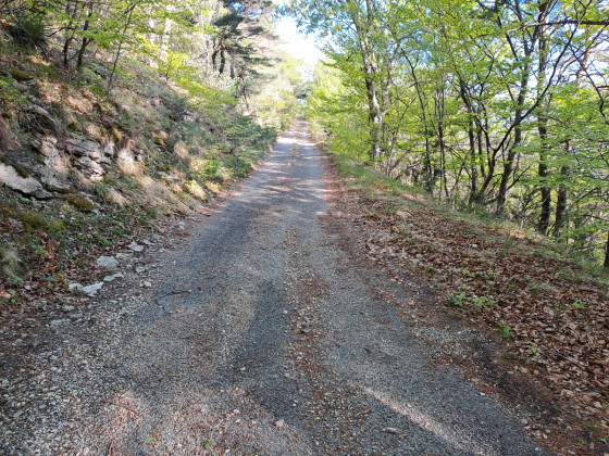 Piste carrossable