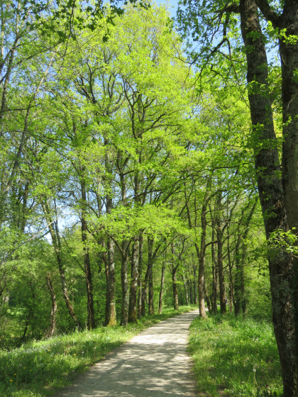 Piste cyclable au départ du Pêchereau