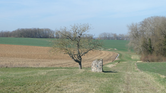 Piste de l'aqueduc de la Dhuys