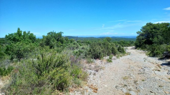 Piste de la Capelette