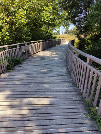 Piste du lycée nature