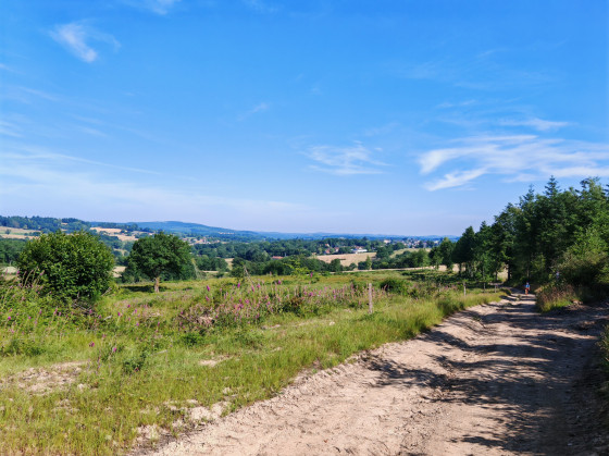 Piste forestière à Faux Mazuras