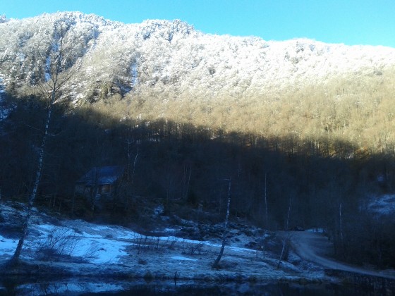 Piste forestière à suivre