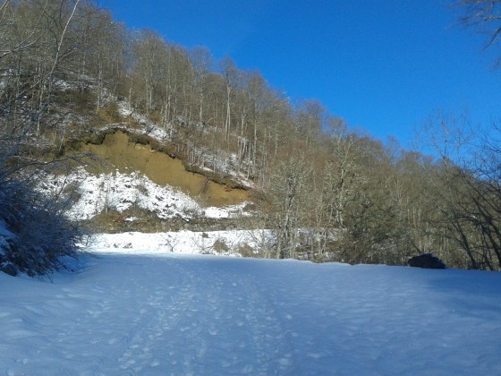 Piste montant en forêt