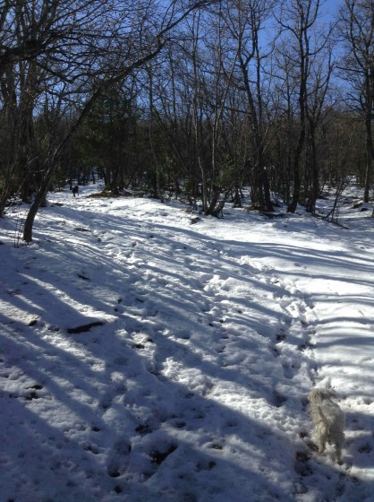 Piste sous la neige