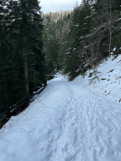 Piste