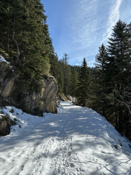 Piste
