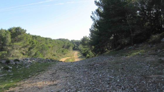 Piste