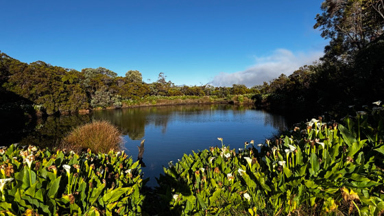 Piton de l’Eau
