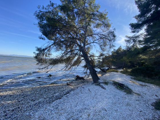 Plage aux coquillages