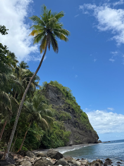 Plage couleuvre