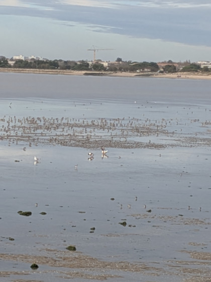 plage d'Aytré