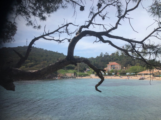 Plage de Camp Long