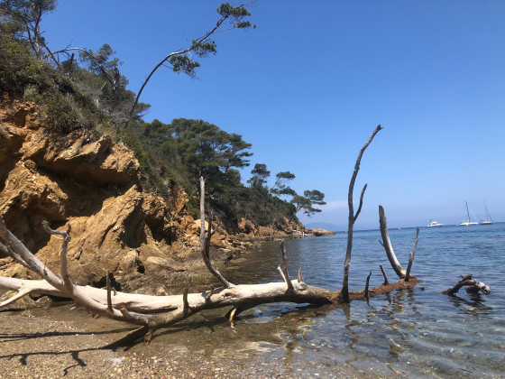Plage de Port-Man