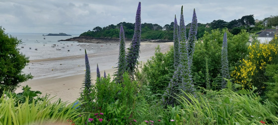Plage de port Mer