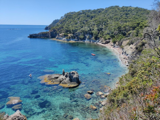 Plage des Darboussières sur la Presqu'île de Giens