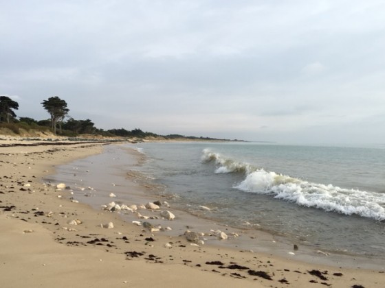 Plage des Prises
