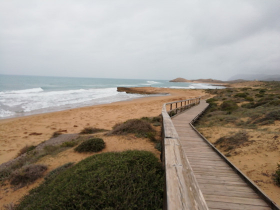 plages et dunes d'Arturo